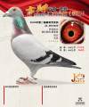 图片暂时未上传
