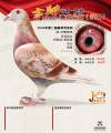 图片暂时未上传