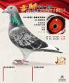 图片暂时未上传