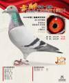 图片暂时未上传