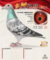 图片暂时未上传