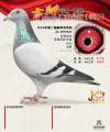图片暂时未上传