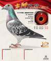 图片暂时未上传