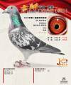 图片暂时未上传