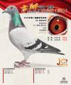 图片暂时未上传