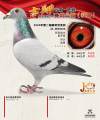 图片暂时未上传