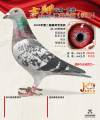 图片暂时未上传