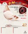 图片暂时未上传
