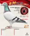 图片暂时未上传