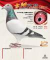 图片暂时未上传