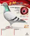 图片暂时未上传