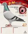图片暂时未上传