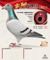 图片暂时未上传