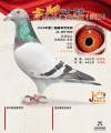 图片暂时未上传