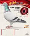 图片暂时未上传