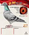 图片暂时未上传