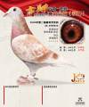 图片暂时未上传
