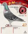 图片暂时未上传