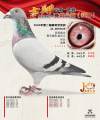 图片暂时未上传