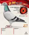 图片暂时未上传