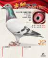 图片暂时未上传