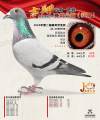 图片暂时未上传
