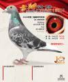 图片暂时未上传