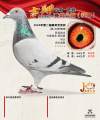 图片暂时未上传