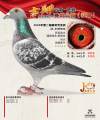 图片暂时未上传