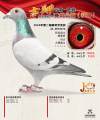 图片暂时未上传