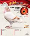 图片暂时未上传