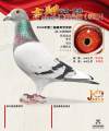 图片暂时未上传