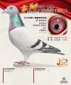 图片暂时未上传
