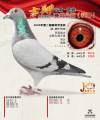图片暂时未上传