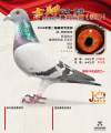 图片暂时未上传
