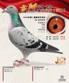图片暂时未上传