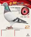 图片暂时未上传