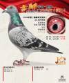 图片暂时未上传