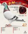 图片暂时未上传