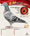 图片暂时未上传