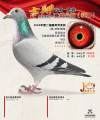 图片暂时未上传