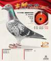 图片暂时未上传