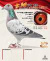 图片暂时未上传