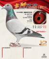 图片暂时未上传
