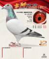 图片暂时未上传