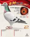 图片暂时未上传