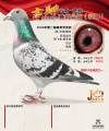 图片暂时未上传
