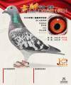 图片暂时未上传