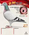 图片暂时未上传