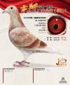 图片暂时未上传